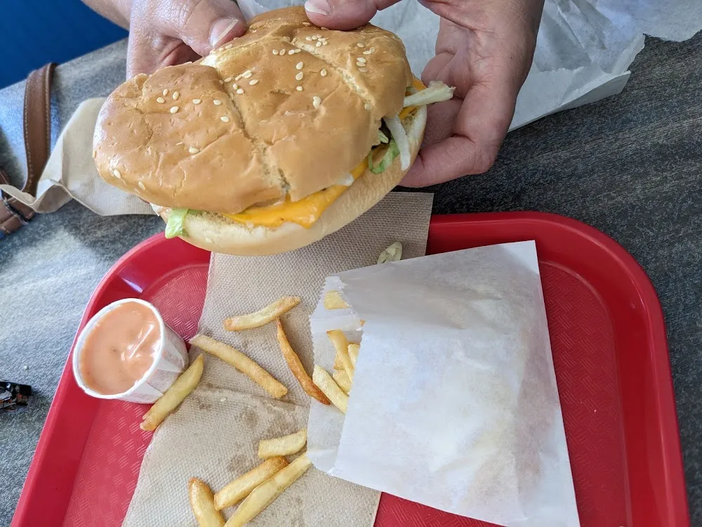 Cheese Burger and Fries